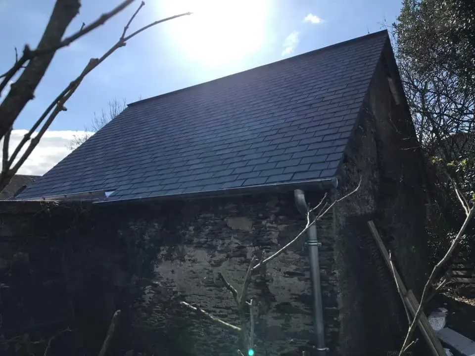 démoussage apres