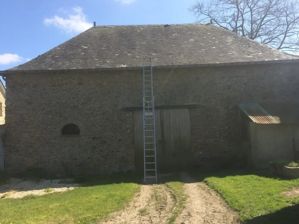 démoussage